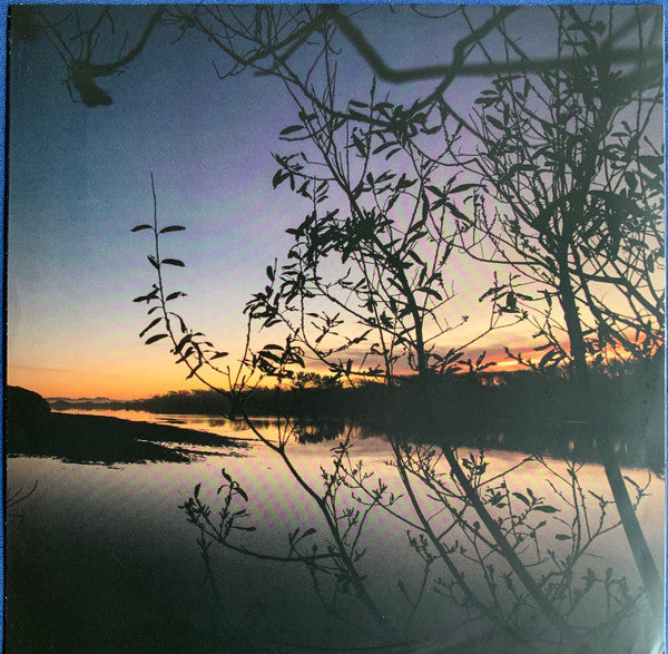 Six Organs Of Admittance : Companion Rises (LP, Album)