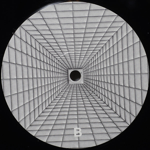 Pod Blotz : Transdimensional System (LP, Album)