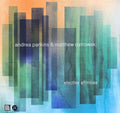 Andrea Parkins & Matthew Ostrowski : Elective Affinities  (CDr, Album)