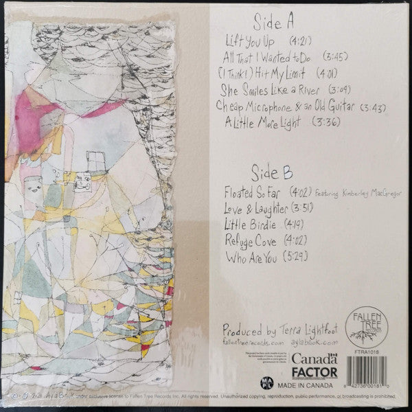 Ayla Brook and the Soundmen : Desolation Sounds (LP, Album)