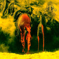 Nekrasov : Lust Of Consciousness (CD, Album)