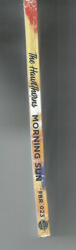 The HawtThorns : Morning Sun (CD, Album)