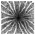 Venomous Skeleton : Drowning In Circles (CD, Album)