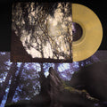Chiral (3) : Gazing Light Eternity (LP, Album, Ltd, RE, Bei)