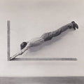 Shepherds (4) : insignificant whip (LP)