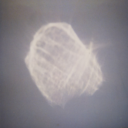 Benoit Pioulard : Temper (CD, Album)