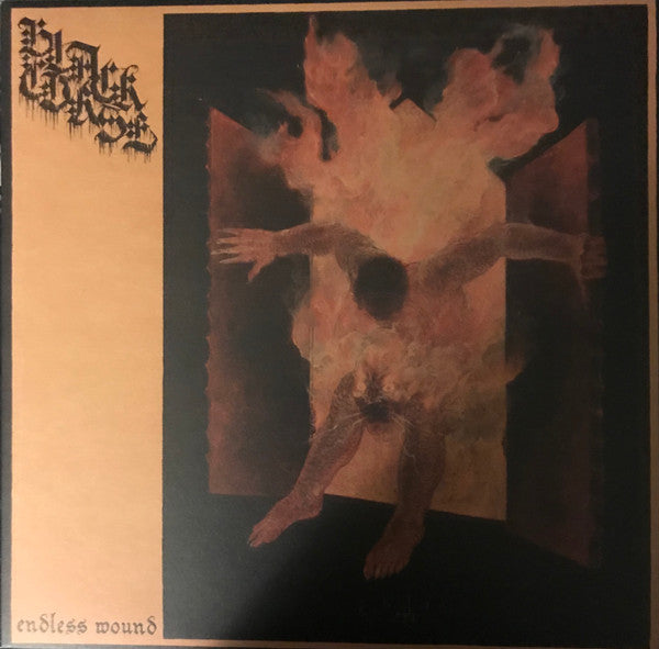 Black Curse (2) : Endless Wound (LP, Album)