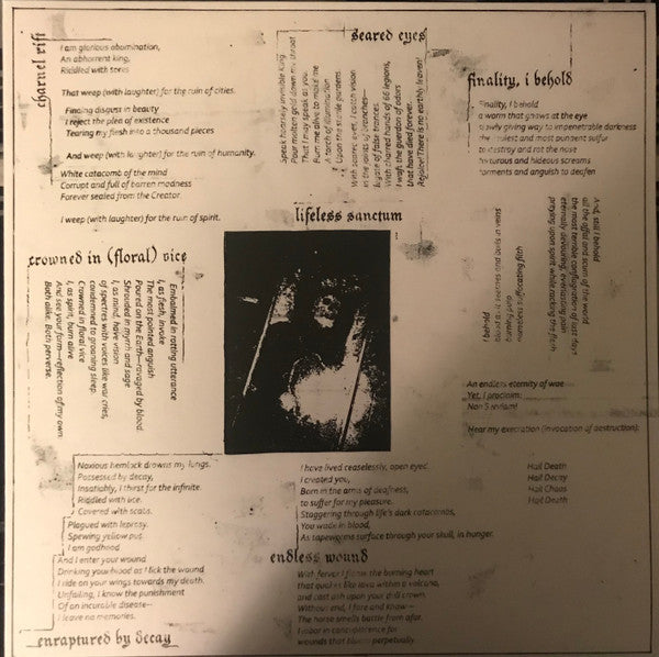 Black Curse (2) : Endless Wound (LP, Album)