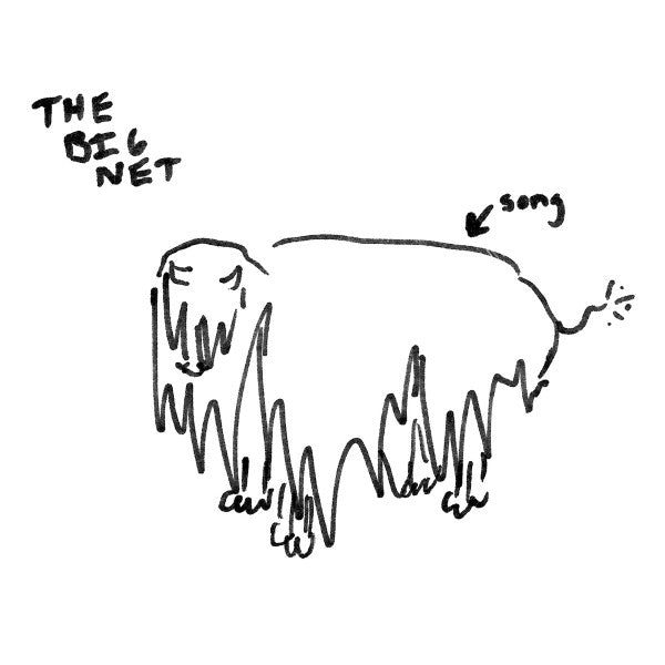 The Big Net : Big Moon b/w Rufus (7", Single, Ltd)