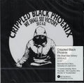 Crippled Black Phoenix : We Shall See Victory 2012 A.D. (2xCD, Album, RE)