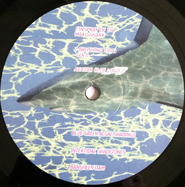 Star Searchers : Avatar Blue (LP, Album)