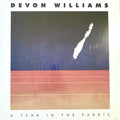 Devon Williams (2) : A Tear In The Fabric (LP, Album)