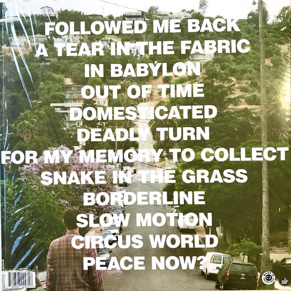 Devon Williams (2) : A Tear In The Fabric (LP, Album)