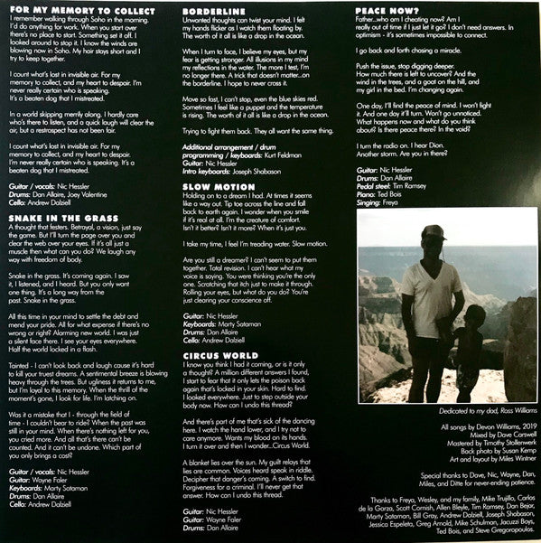 Devon Williams (2) : A Tear In The Fabric (LP, Album)