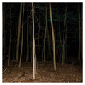 Express Rising : Fixed Rope (CD, Album)