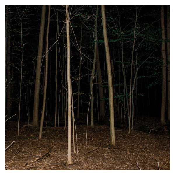 Express Rising : Fixed Rope (CD, Album)