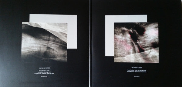 Penny Rimbaud, Eve Libertine, Hugh Metcalfe : Christ's Reality Asylum (2xLP, Album)