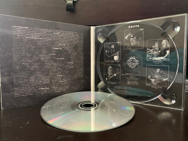 Kaliya (2) : Born To See, Bred To Hate, Led To Destroy (CD, Album)