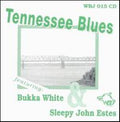 Bukka White, Sleepy John Estes : Tennessee Blues (CD, Comp)