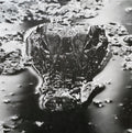 Many Blessings : Emanation Body (LP, Album, Ltd, Whi)