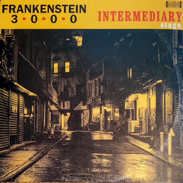 Frankenstein 3000 : Intermediary Stage (LP, Comp, Ltd)