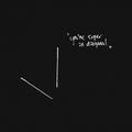 Ant Orange : You're Super In Diagonal (CD, Album)