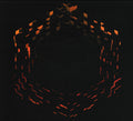 C418 : Minecraft Volume Beta (2xCD, Album, Dig)