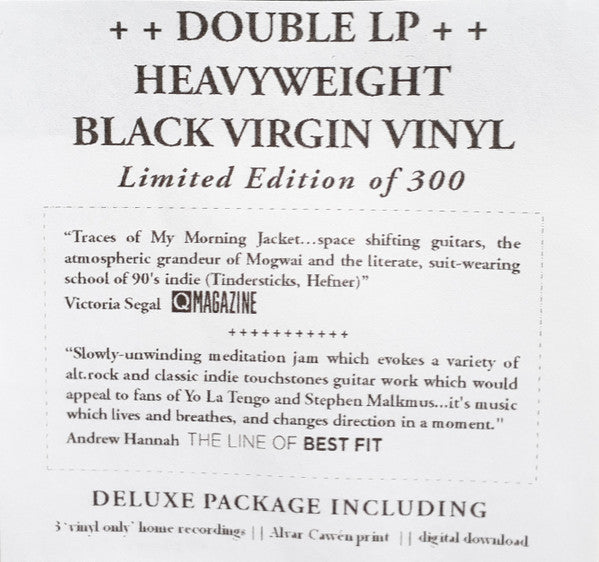 Lost Left : Levollinen (2xLP, Album, Ltd, Num, Lim)
