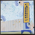 Surfer Blood : Carefree Theatre (LP, Sea)