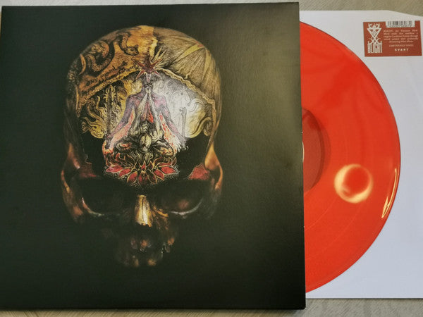 Blight (6) : Temple Of Wounds (2xLP, Album, Ltd, Red)