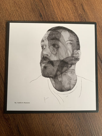 Mt. Doubt : Doubtlands (LP, Album)