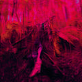 Rebel Wizard : Magickal Mystical Indifference  (LP, Ltd, Tra)