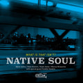 Native Soul (5) : What Is That Isn't? (CD, Album)