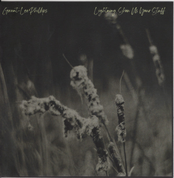 Grant-Lee Phillips* : Lightning, Show Us Your Stuff (CD, Album)