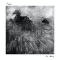 Timber (19) : The Family (CD, Album)