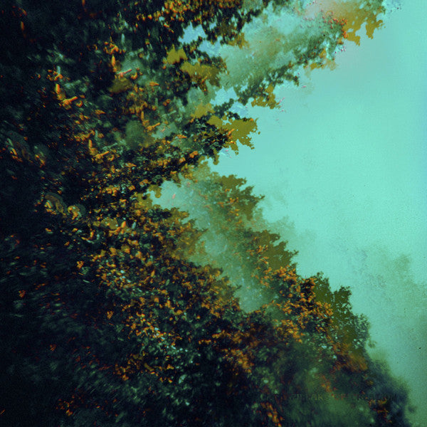 Polymoon : Caterpillars Of Creation (LP, Album)