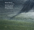 Michel Benita : Looking At Sounds (CD, Album)