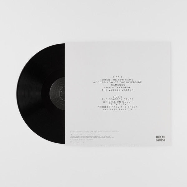 Nick Jonah Davis : When The Sun Came (LP, Album)