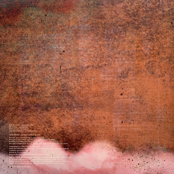 WorldService Project : Hiding In Plain Sight (LP, Album, Rub)