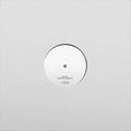 Quinn Christopherson : Raedeen / Erase Me (10", RSD, Single, Ltd)
