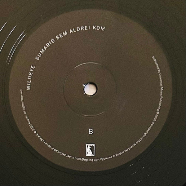 Jónsi : Shiver (2xLP, Album)