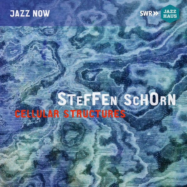 Steffen Schorn : Cellular Structures (CD, Album)