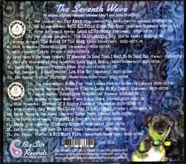 Various : Big Stir Singles: The Seventh Wave (CD, Comp)