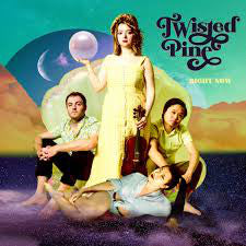 Twisted Pine : Right Now (CD, Album)
