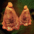 Black To Comm : Oocyte Oil & Stolen Androgens (LP, Album, Ltd, Tra)