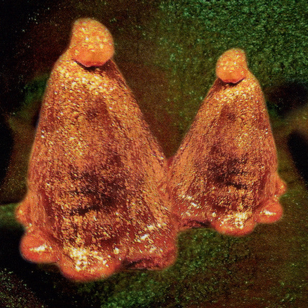 Black To Comm : Oocyte Oil & Stolen Androgens (LP, Album, Ltd, Tra)