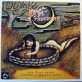 Drive-By Truckers : The Fine Print (A Collection Of Oddities And Rarities) 2003-2008 (2xLP, Album, Ltd, Cle)