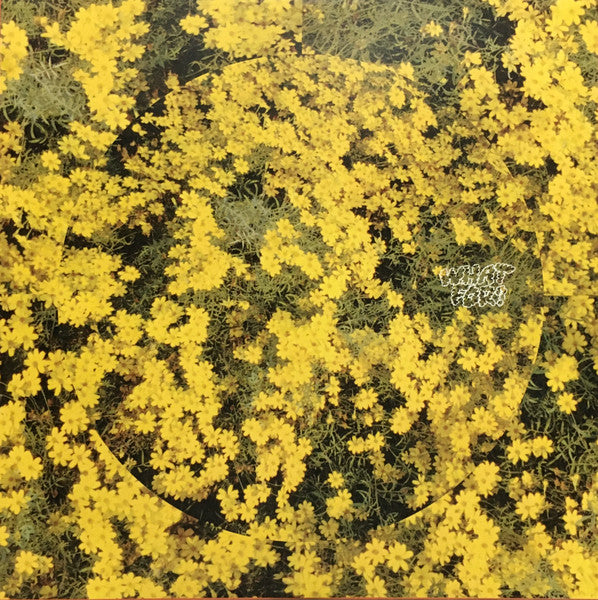 Toro Y Moi : What For? (CD, Album)