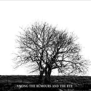 Mr. David Viner : Among The Rumours And The Rye (CD, Album)