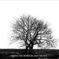 Mr. David Viner : Among The Rumours And The Rye (CD, Album)
